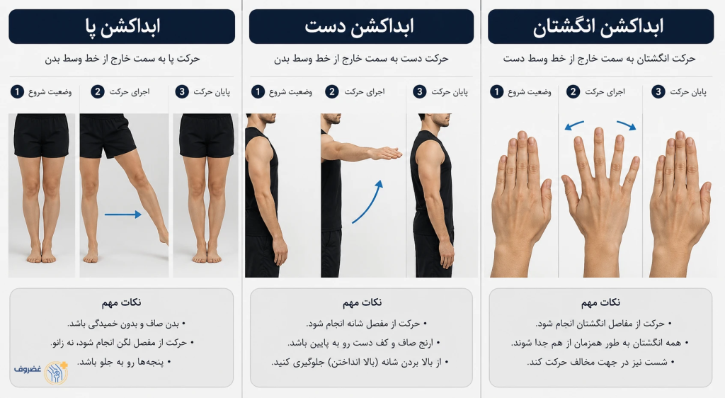 اینفوگرافیک آموزشی حرکات ابداکشن پا، ابداکشن دست و ابداکشن انگشتان با نمایش مرحله‌به‌مرحله نحوه دور کردن اندام‌ها از خط وسط بدن